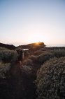 Hombre viajero con cámara caminando en la remota costa del desierto en España contra el cielo despejado y la puesta de sol brillante - foto de stock