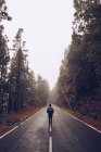 Traveler walking on empty road in woods — Stock Photo
