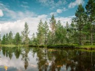 Удивительный летний солнечный пейзаж с рекой, лугом и лесом в Финляндии — стоковое фото
