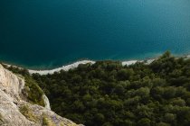 Удивительный вид на зеленый лес и спокойное море со скалистой скалы в красивой сельской местности — стоковое фото