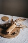 Maïs séché sur épi placé sur une planche de bois près d'un bocal avec une épice brune sur une table de cuisine — Photo de stock