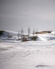 Вид на засніжені пагорби з сухим трав'яним покриттям з мрякою вранці в Кремій Ісландії — стокове фото