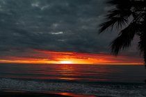 Silhouettes de palmiers contre ciel nuageux — Photo de stock
