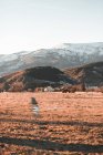 Campo seco e altas colinas com madeiras verdes no inverno — Fotografia de Stock