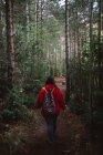 Back view of traveling woman with backpack walking on path in remote green woods — Stock Photo