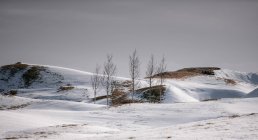 View to snowy hills with dry grass covering with mist in morning in Stockness Iceland — Stock Photo