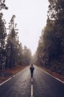 Viaggiatore maschile che cammina su strada vuota nel bosco — Foto stock