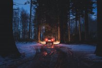 Їзда на машині вздовж брудної дороги в вечірньому лісі — стокове фото