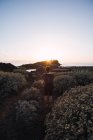 Мужчина-фотограф, гуляющий по морю на закате — стоковое фото