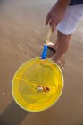 Dall'alto cerchio giallo spingere rete con conchiglie sulla spiaggia di sabbia nella giornata estiva — Foto stock