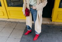 Close-up de mulher elegante de pé na rua — Fotografia de Stock