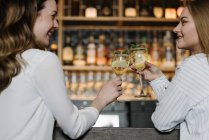 Vista posterior de dos amigas sonriendo y tintineando vasos de cócteles de alcohol mientras pasan tiempo en el bar del acogedor restaurante - foto de stock