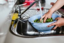 Руки анонимного ребенка моют свежие травы в решето под чистой водой, делая салат на кухне — стоковое фото