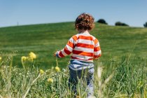 Niño sin rostro por detrás caminando en un campo lleno de flores en el campo - foto de stock