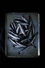 Heap of fresh raw anchovies placed on shabby metal tray against black background — Stock Photo