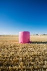 Зерновий тюк, обгорнутий рожевим пластиком, кампанія проти раку молочної залози — стокове фото