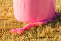 Close-up of cereal bale wrapped with pink plastic, campaign against breast cancer — Stock Photo