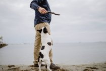 Unerkennbarer männlicher Haltestab mit Französischer Bulldogge, die an ihm hängt, während sie am sandigen Ufer in der Nähe ruhiger See steht — Stockfoto