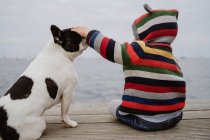Vista posteriore del bambino irriconoscibile in giacca a righe pattinaggio macchiato Bulldog francese mentre seduto sul molo di legname vicino al mare — Foto stock