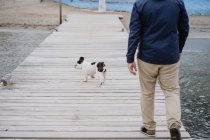 Анонимный взрослый мужчина в теплой куртке гуляет с пятнистым французским бульдогом на деревянном пирсе и любуется видом волнистого моря в скучный день — стоковое фото