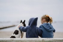 Vista trasera de dos niños abrazando Bulldog francés mientras están sentados en la playa cerca del mar juntos - foto de stock