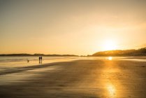 Couple méconnaissable marchant sur la plage au coucher du soleil — Photo de stock