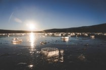 Pequenos pedaços de gelo flutuando na água fria calma de Laguna de los Peces na manhã ensolarada em Espanha — Fotografia de Stock