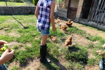 Діти в літньому вбранні і добре харчуються кури травою на фермі в сонячний день — стокове фото