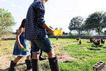 Les enfants en été portent et logent les poules nourrissant par l'herbe dans la ferme dans la journée ensoleillée — Photo de stock