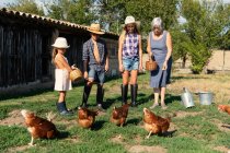 Бабушка и внуки с корзинами, дающими зерно пасущимся курам, стоя возле амбара в солнечный день на ферме — стоковое фото