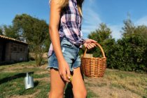 Joven chica en día soleado en rancho alimentación pollos - foto de stock