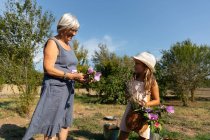 Старшая женщина и маленькая девочка собирают красивые цветы в саду вместе в солнечный день на ферме — стоковое фото