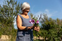 Mulher sênior pegando belas flores no jardim no dia ensolarado na fazenda — Fotografia de Stock