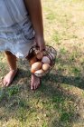 Niña pequeña de la cosecha que lleva una cesta de huevos en la granja - foto de stock