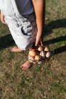 Safra menina carregando uma cesta de ovos na fazenda — Fotografia de Stock