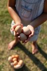 Crop little girl carrying a eggs basket in farm — Stock Photo