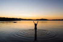Rückenansicht einer jungen Frau, die mit erhobenen Händen im Wasser steht und die malerische Aussicht auf den Sommer genießt — Stockfoto