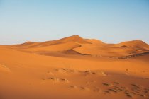 Red sandy dune of desert in Morocco — Stock Photo