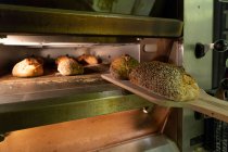 Sacando panes de delicioso pan con corteza crujiente de horno caliente en la gran escápula de madera en el interior - foto de stock
