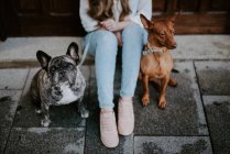 Frau mit Bulldogge und Hund auf Gehweg und lehnt an Holztür — Stockfoto