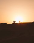 Vista di sagome di cammelli su dune di sabbia nel deserto contro la luce del tramonto, Marocco — Foto stock