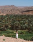 Вид сзади на расстояние женщины в белом платье, стоящей на холме пустыни против пышной зеленой пальмовой парк, Марокко — стоковое фото