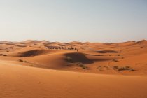 Vista minimalista de camellos y siluetas de viajeros en dunas de arena en el desierto contra la luz del atardecer, Marruecos - foto de stock