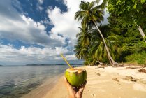 Hand of person holding coconut cocktail with straw on picturesque seashore with palm trees — Stock Photo