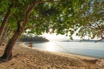 Vista posteriore della donna in bikini seduta sull'altalena sotto un grande albero sulla riva del lago nella giornata di sole — Foto stock