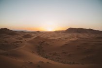 Vista minimalista de camellos sobre dunas de arena en el desierto contra la luz del atardecer, Marruecos - foto de stock