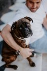 Side view of adorable thoughtful boxer dog in hands of caring bonding owner — Stock Photo