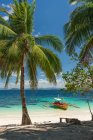Живописный вид на песчаный берег с лодкой и пальмовым деревом — стоковое фото