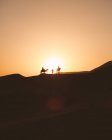 Vista di sagome di cammelli su dune di sabbia nel deserto contro la luce del tramonto, Marocco — Foto stock