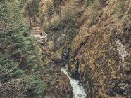 Touriste admirant la vue majestueuse sur les Alpes et le ruisseau de montagne tout en marchant sur le sentier de randonnée dans les Dolomites, Italie — Photo de stock